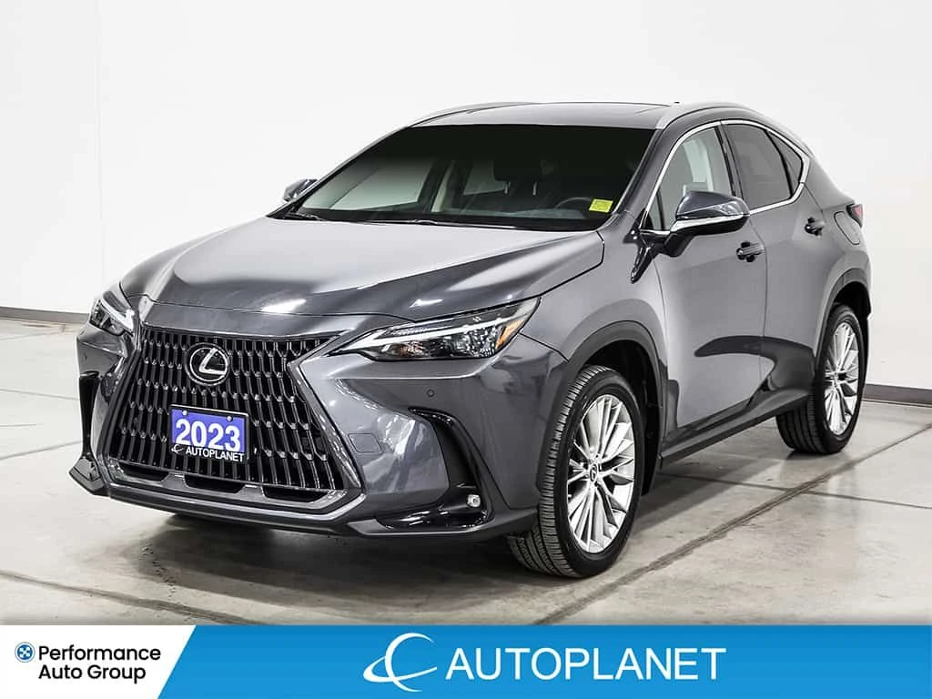 Lexus NX Ultra Premium AWD - изображение 3