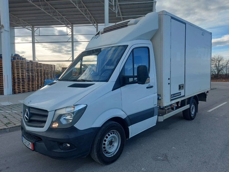 Mercedes-Benz Sprinter 319 Ориг.КМ и БОЯ, снимка 1 - Бусове и автобуси - 48058076