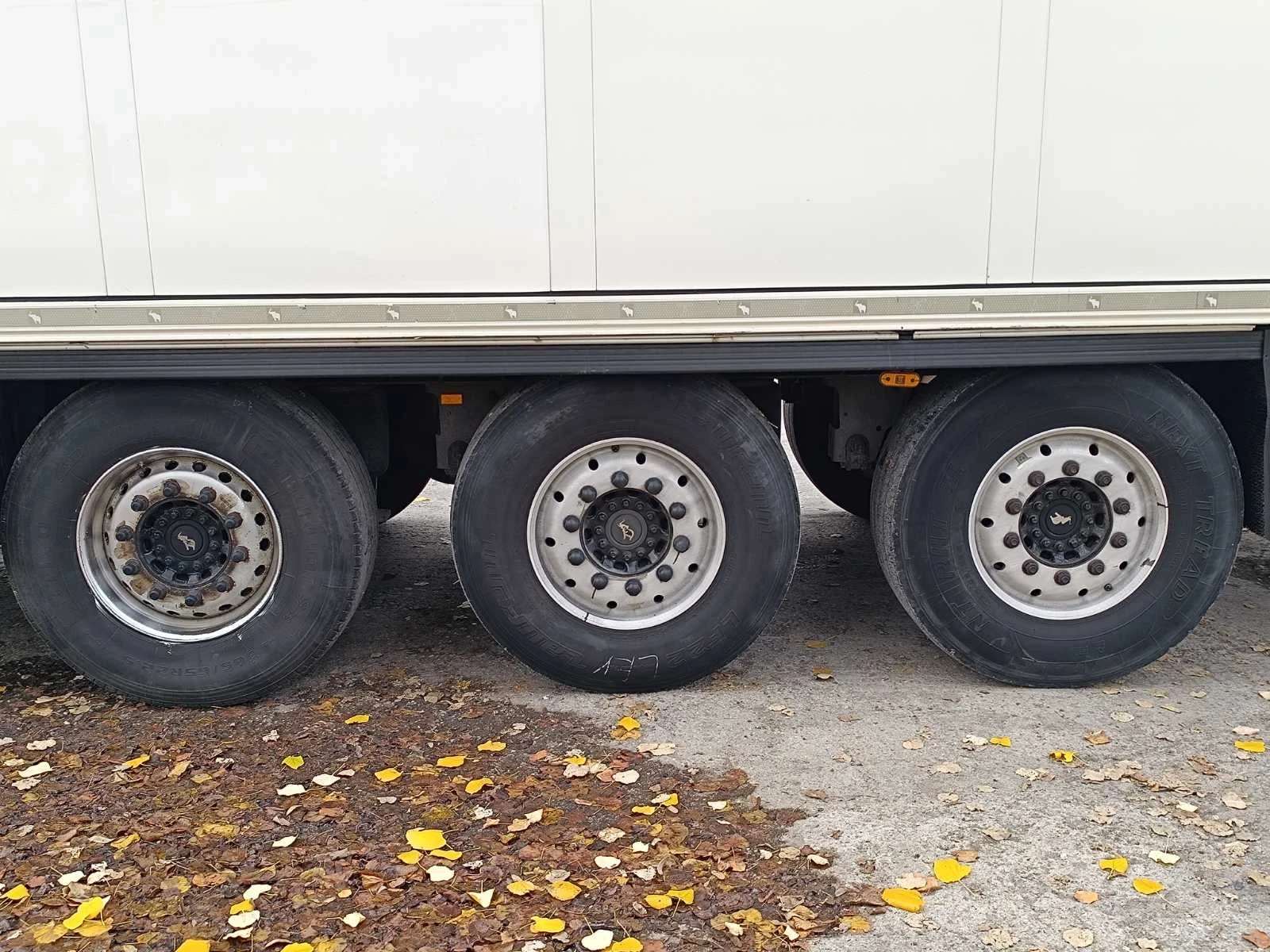  Schmitz | Mobile.bg   1