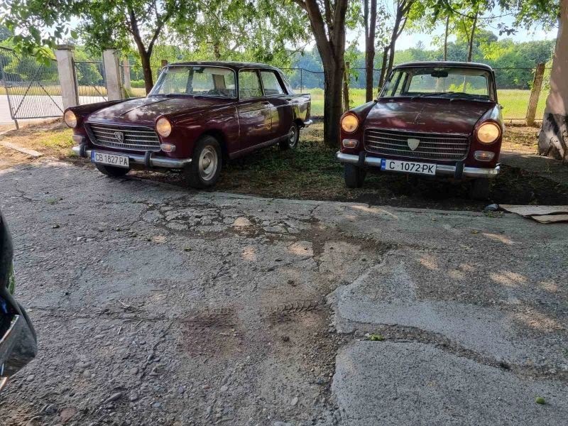 Peugeot 404 за 2бр. + 1 за части, снимка 1 - Автомобили и джипове - 47206797