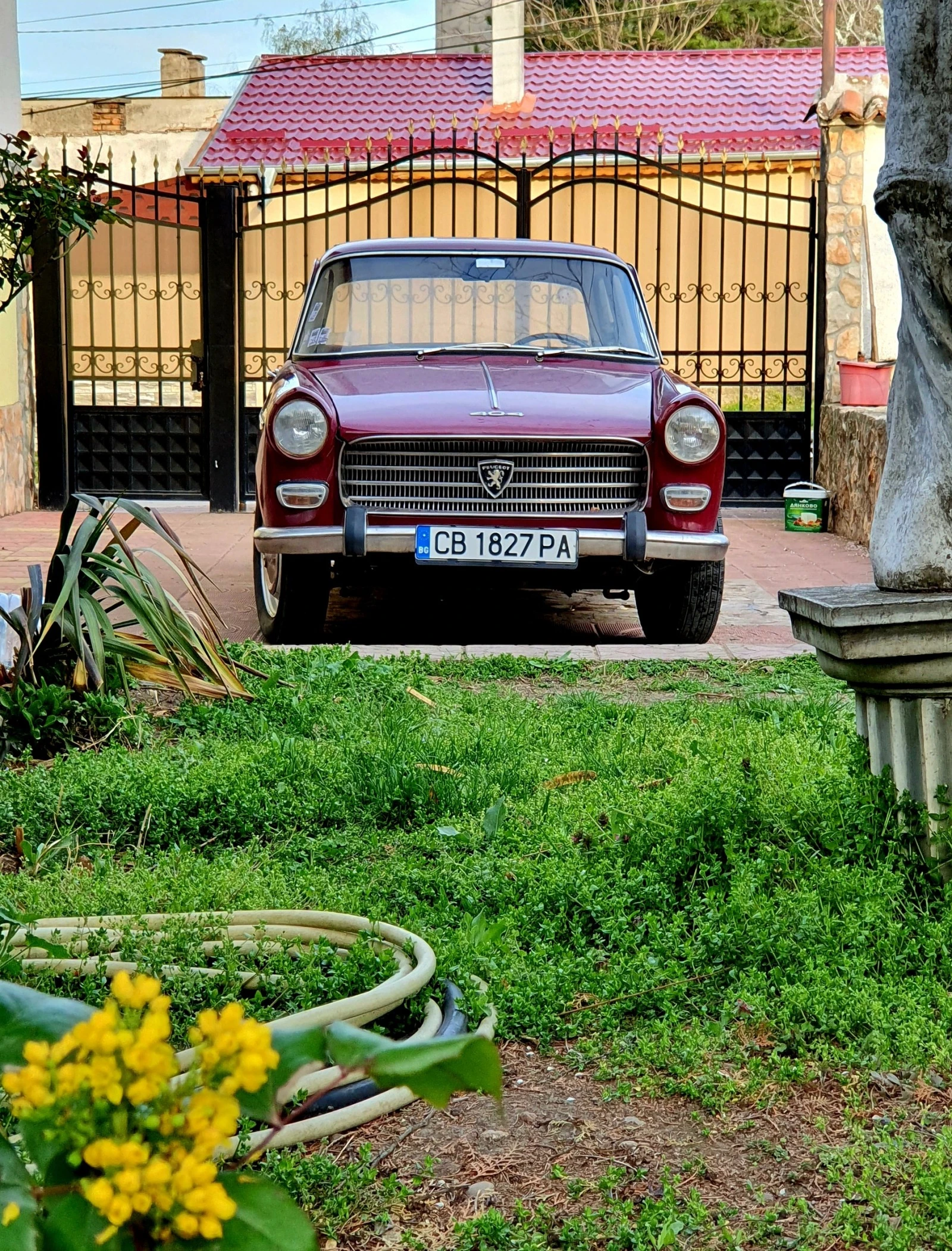 Peugeot 404 за 2бр. + 1 за части - изображение 2