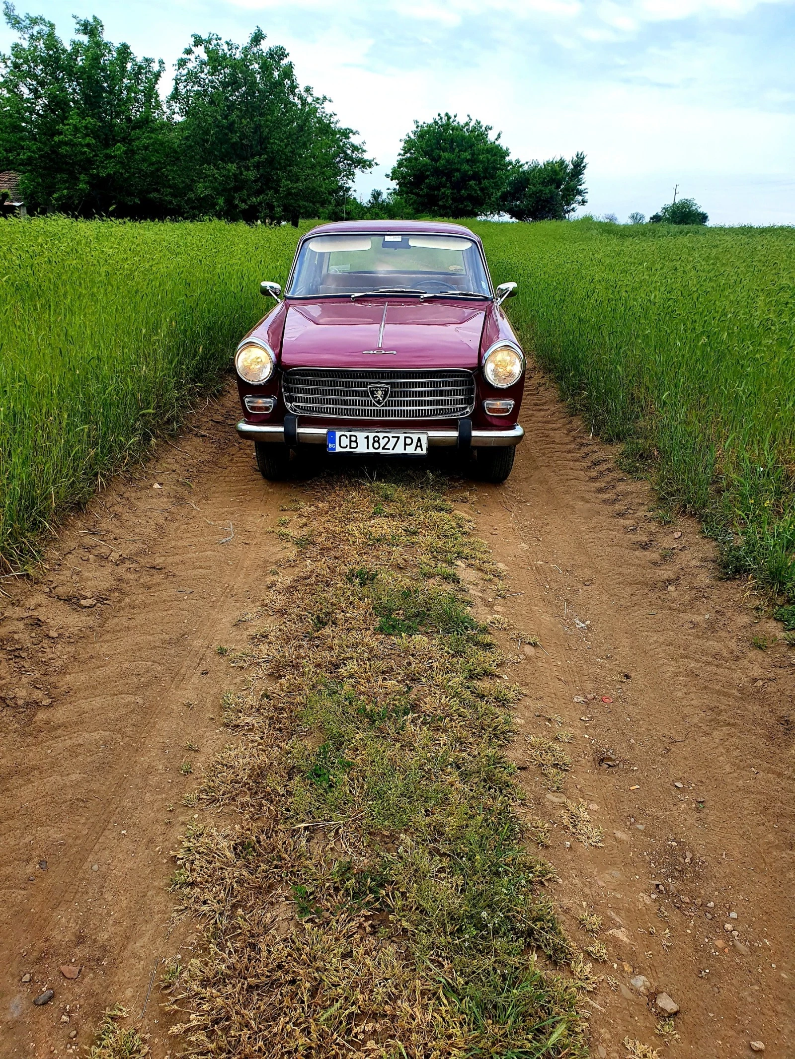 Peugeot 404 за 2бр. + 1 за части - изображение 5