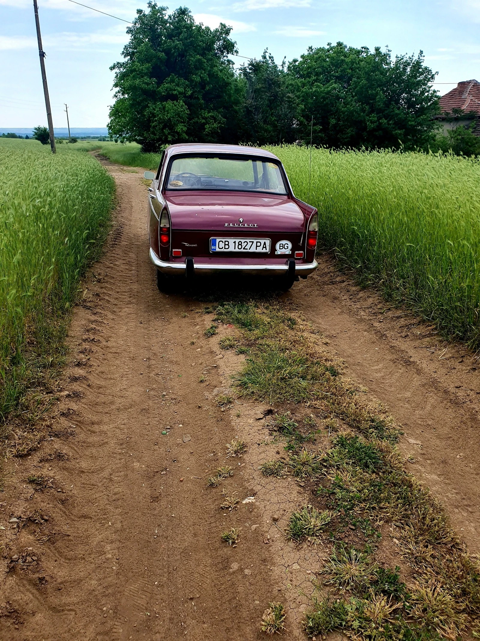 Peugeot 404 за 2бр. + 1 за части - изображение 6