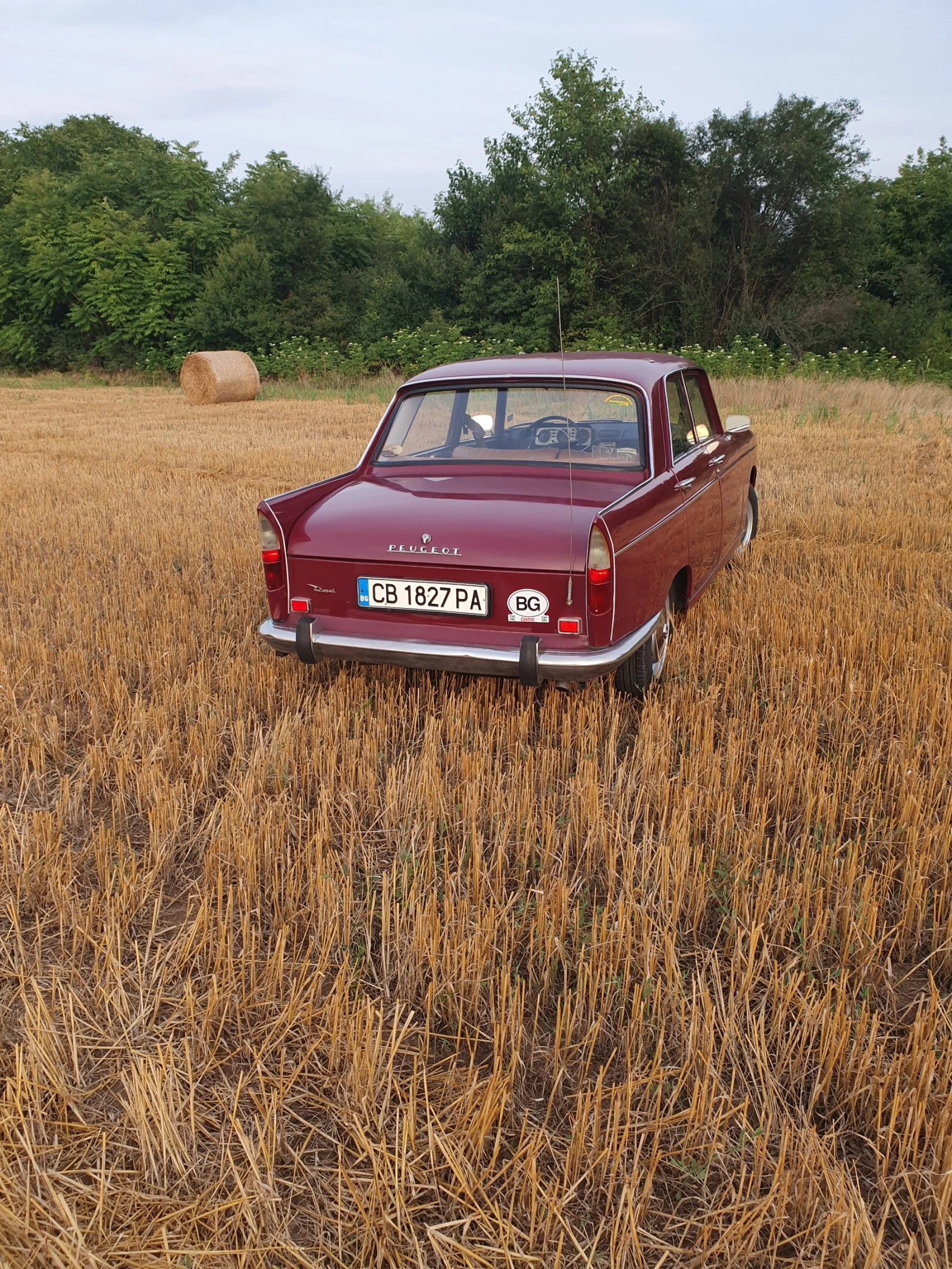 Peugeot 404 за 2бр. + 1 за части - изображение 8