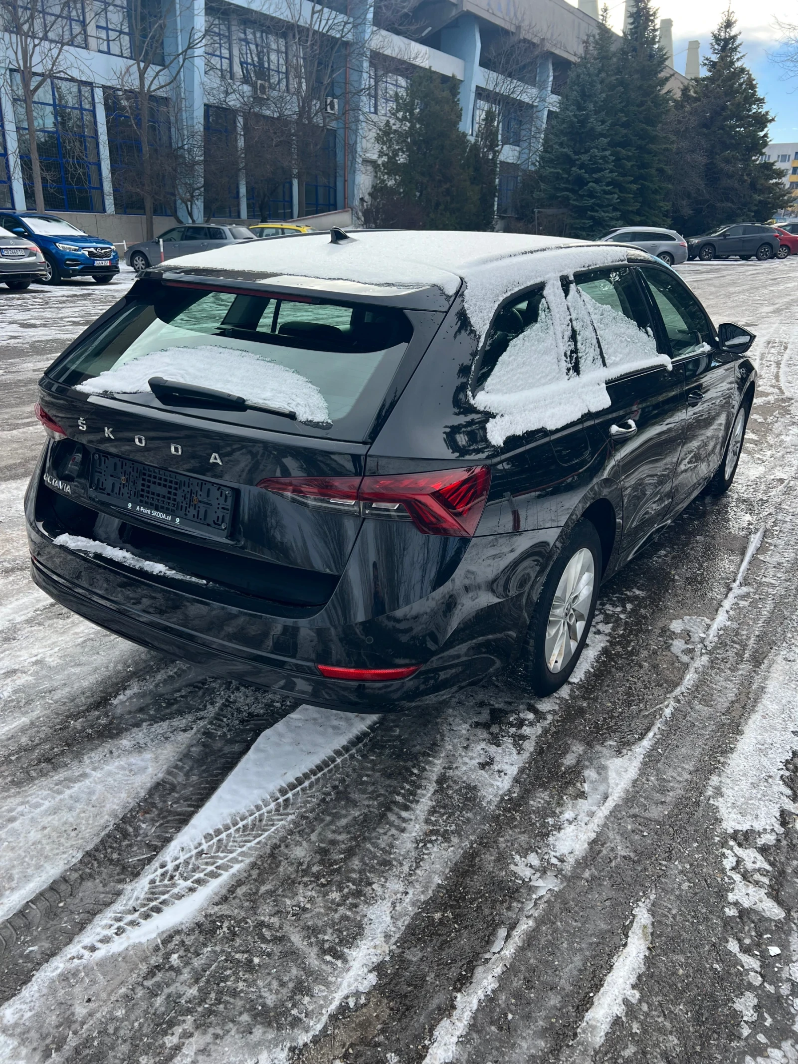 Skoda Octavia Business  - изображение 4