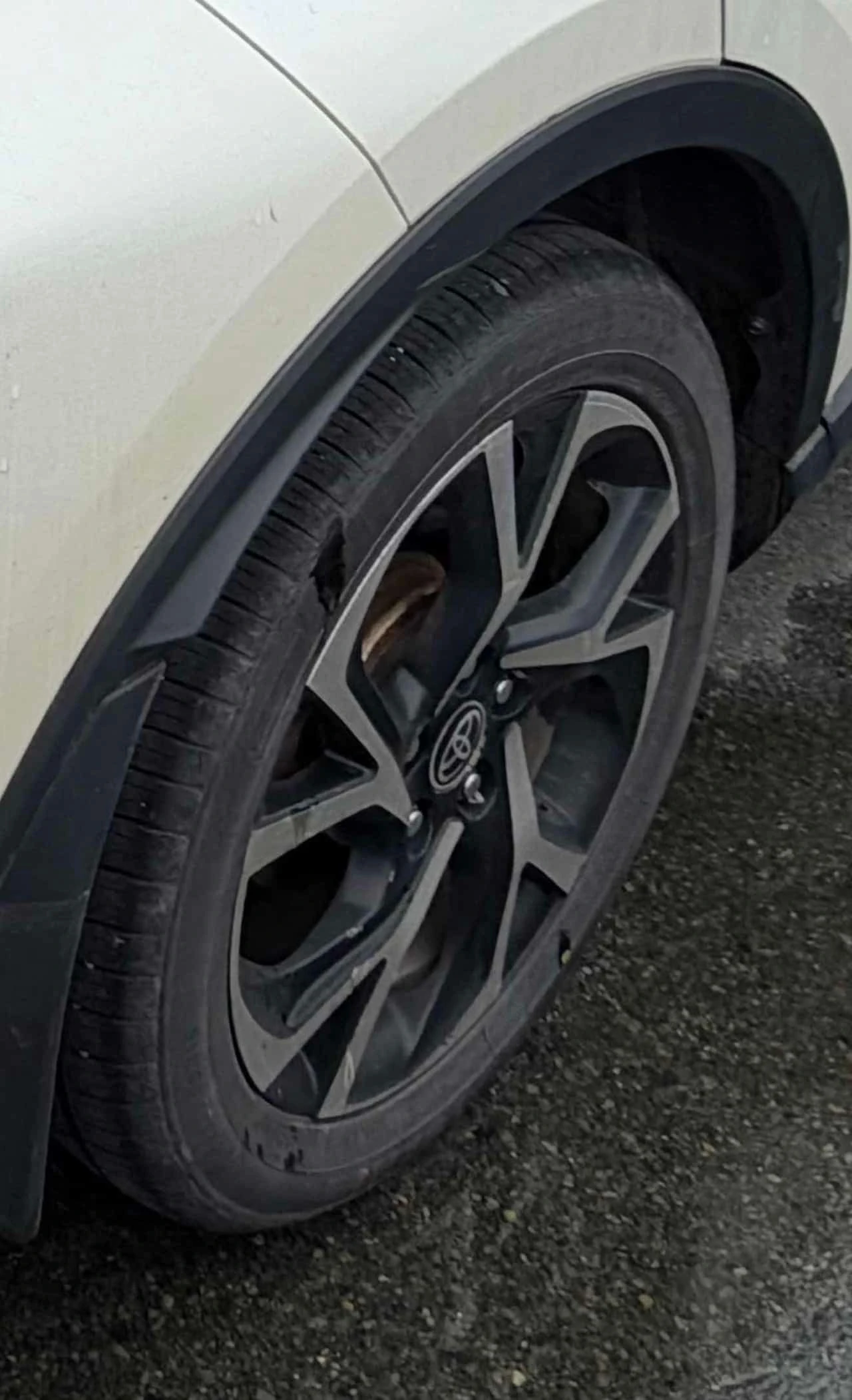 Toyota C-HR * FWD *  | Mobile.bg � ����������� 5