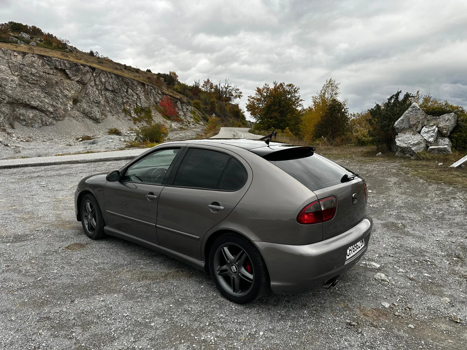 Seat Leon 1.9TDI  ARL - изображение 4