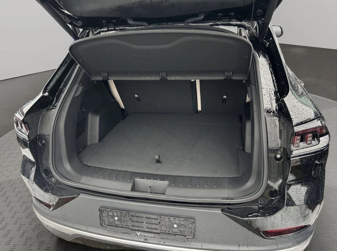 VinFast VF8 Plus | Mobile.bg � ����������� 9