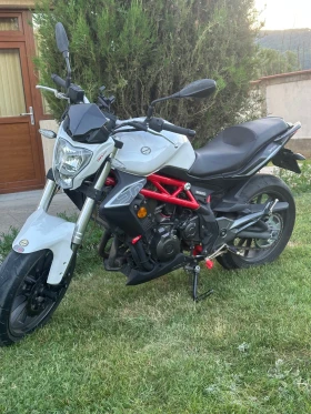  Benelli 304