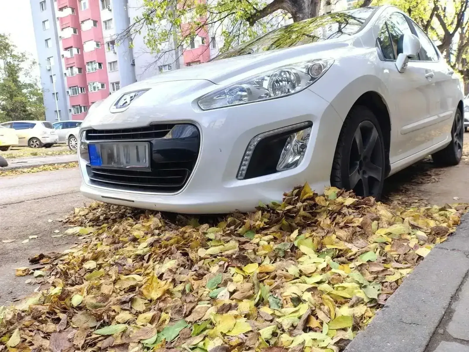 Peugeot 308 1.6 THP 156 к.с. | Auto.bg — изображение 1