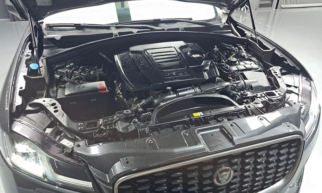 Jaguar F-PACE P 250 SE | Mobile.bg � ����������� 15