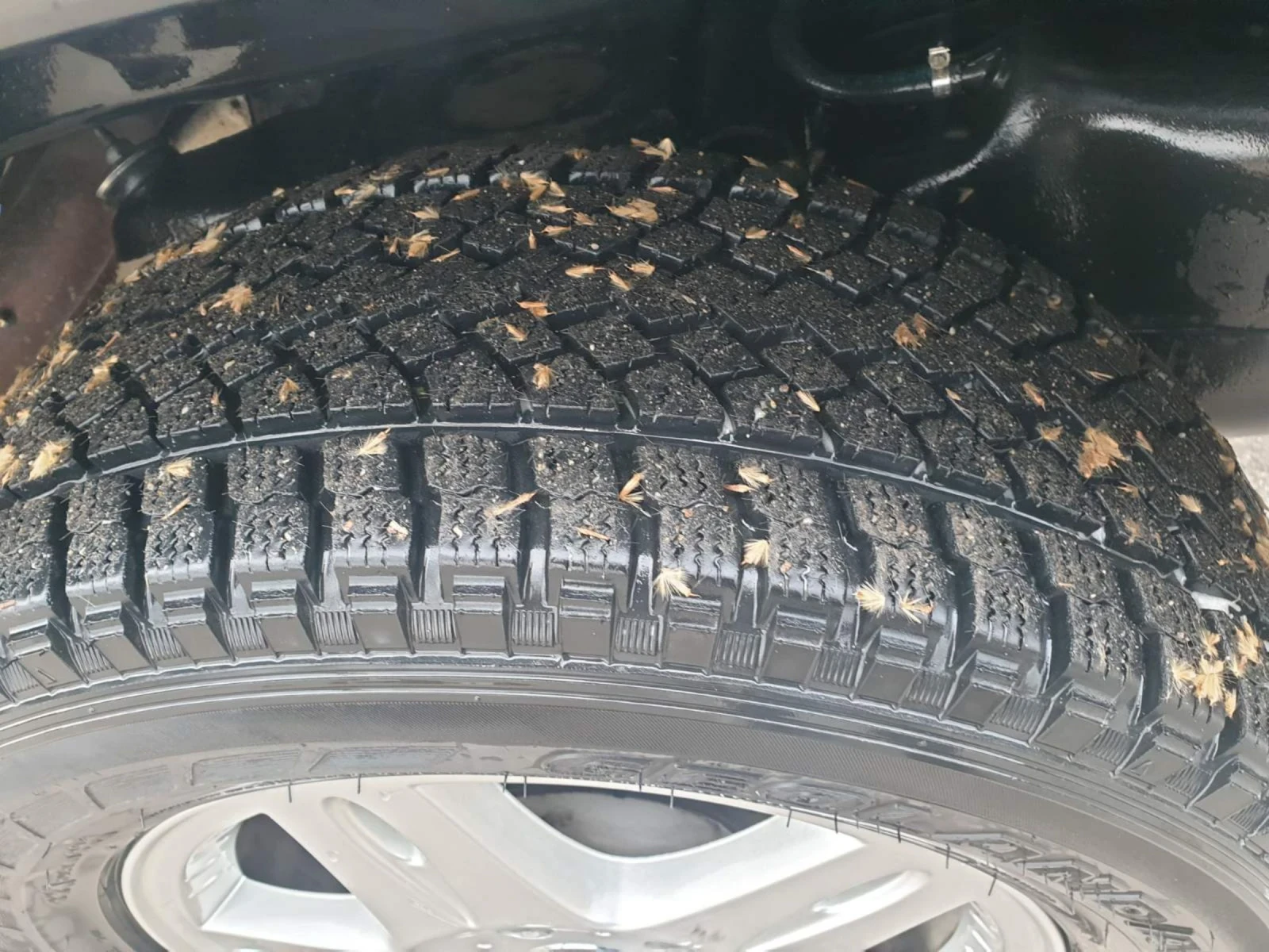 Mercedes-Benz G 280  - изображение 10