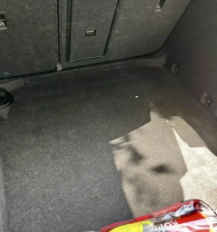 Skoda Octavia 1.5 TSI ACT DSG Laurin&Klement, снимка 12 - Автомобили и джипове - 52729756