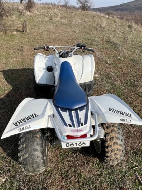 Yamaha Wolverine, снимка 5