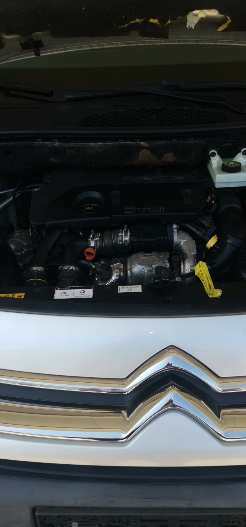 Citroen Berlingo 1.6 hdi - изображение 7