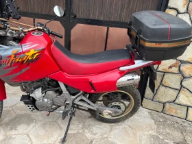 Honda Nx 650 Dominator, снимка 4