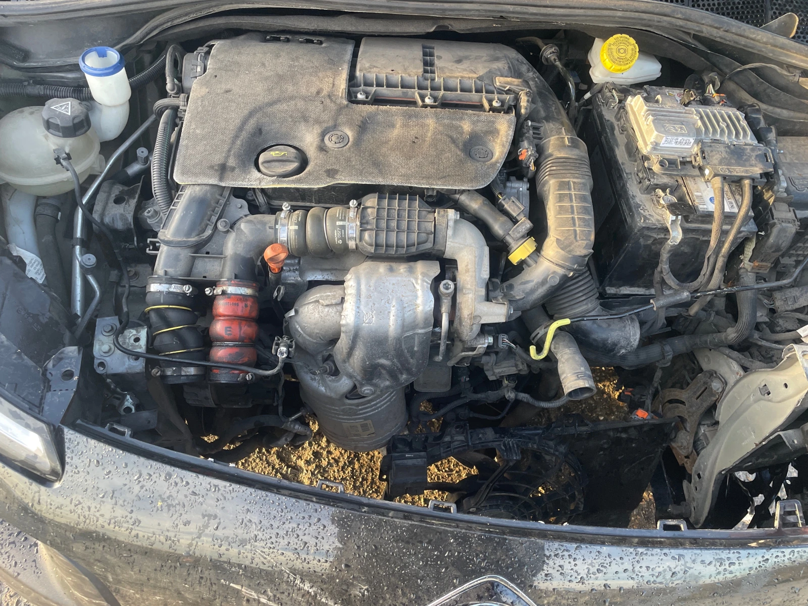 Citroen C4 Cactus 1.6 Blue HDI | Mobile.bg   14