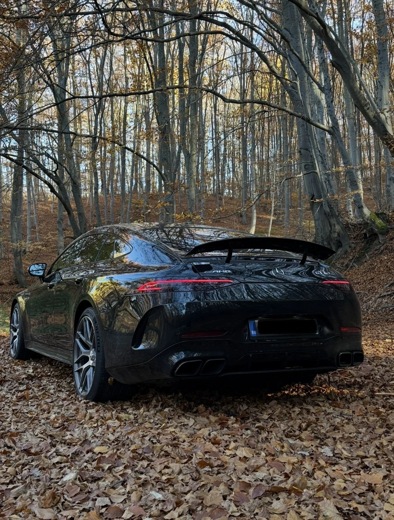 Mercedes-Benz AMG GT 63s stage 2+ , снимка 2 - Автомобили и джипове - 55604207