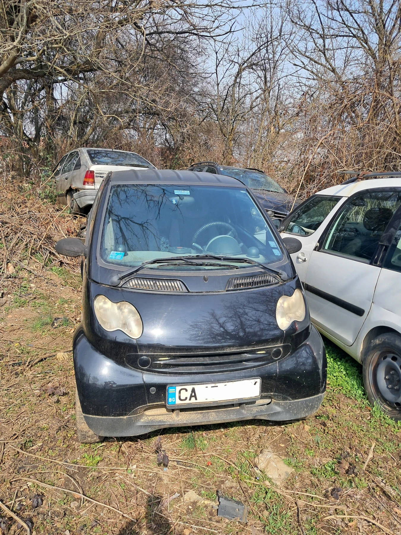 Smart Fortwo 0.8 CDI, снимка 2 - Автомобили и джипове - 53758103