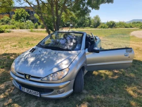 ����� �� �������� �� Peugeot 206 ������