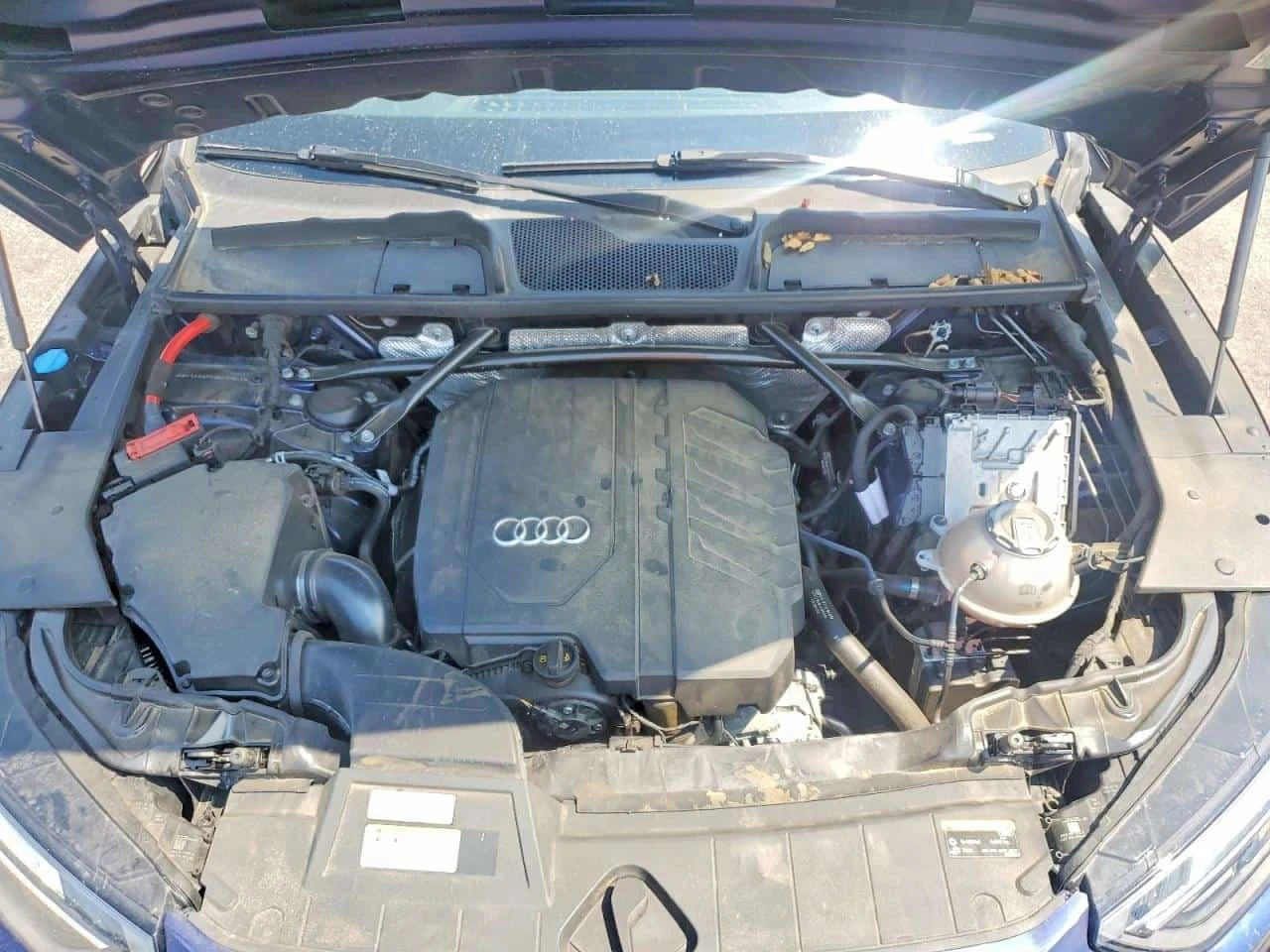 Audi Q5 quattro Premium / Carfax / ������������� | Mobile.bg � ����������� 12