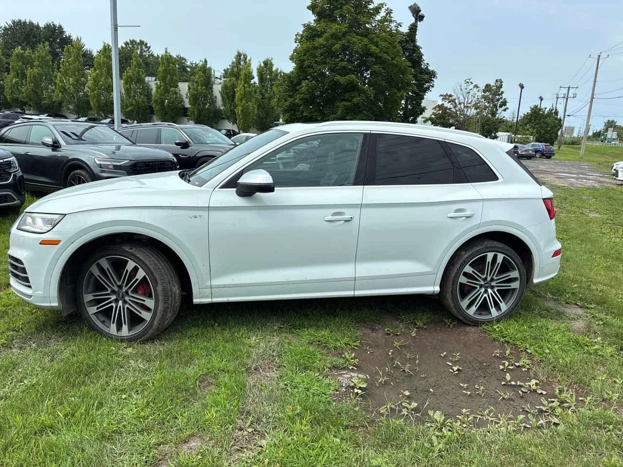 Audi SQ5 * Technik * 360* B&O* CARFAX* , снимка 2 - Автомобили и джипове - 55618621