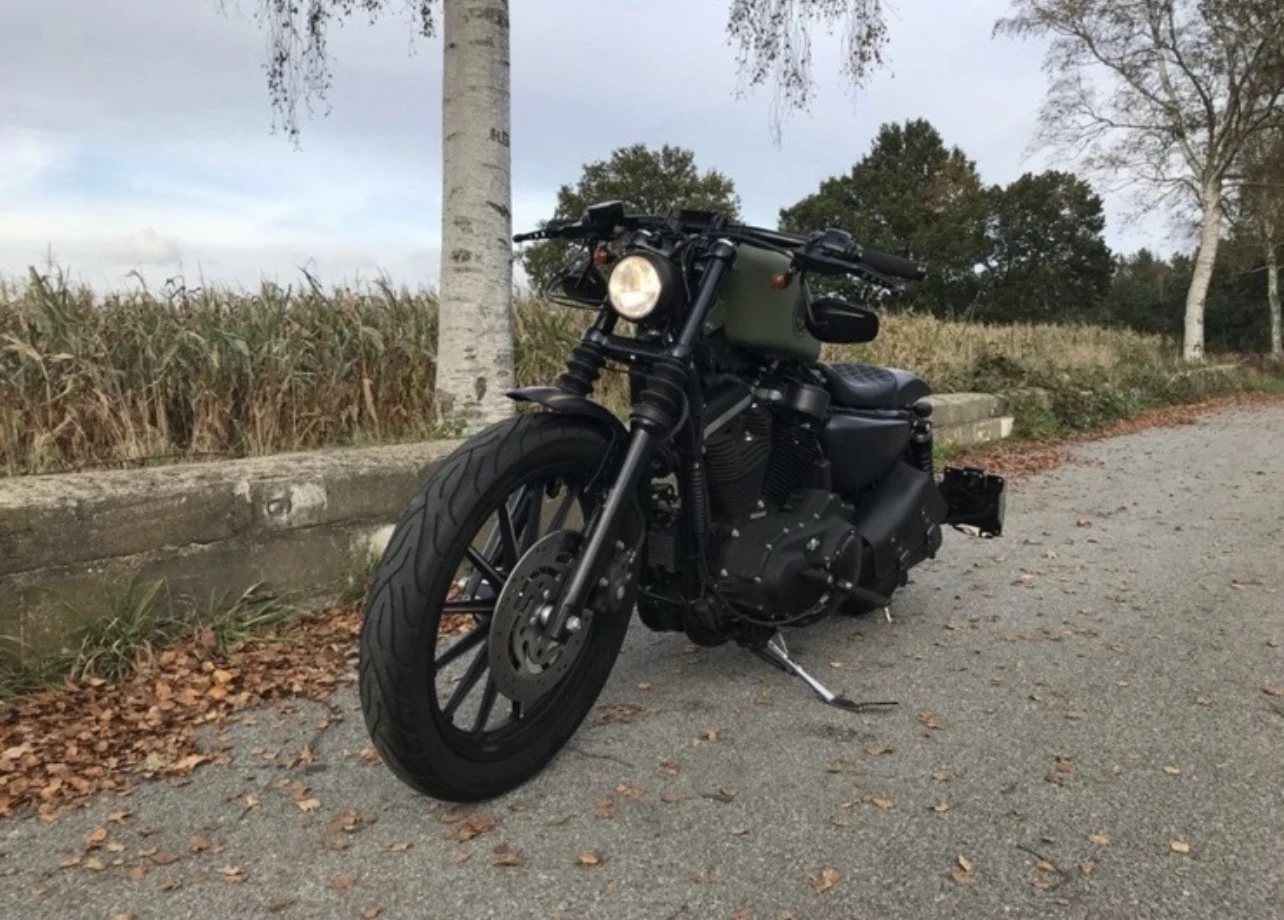 Harley-Davidson Sportster Iron 883, снимка 17 - Мотоциклети и мототехника - 53615754