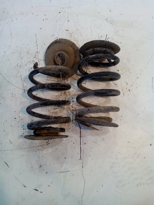 Задни пружини за Рено Клио