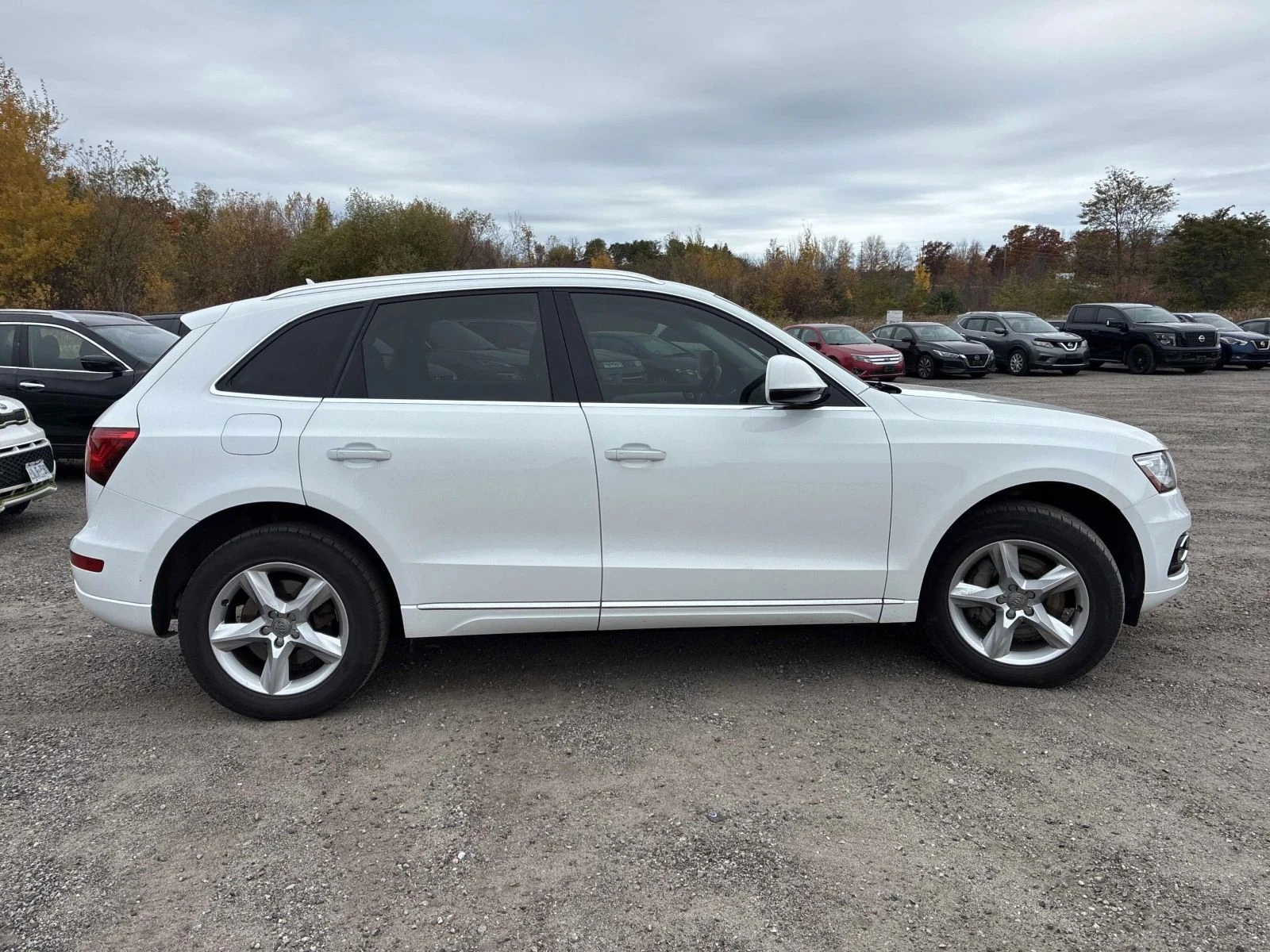 Audi Q5, снимка 4 - Автомобили и джипове - 56691929