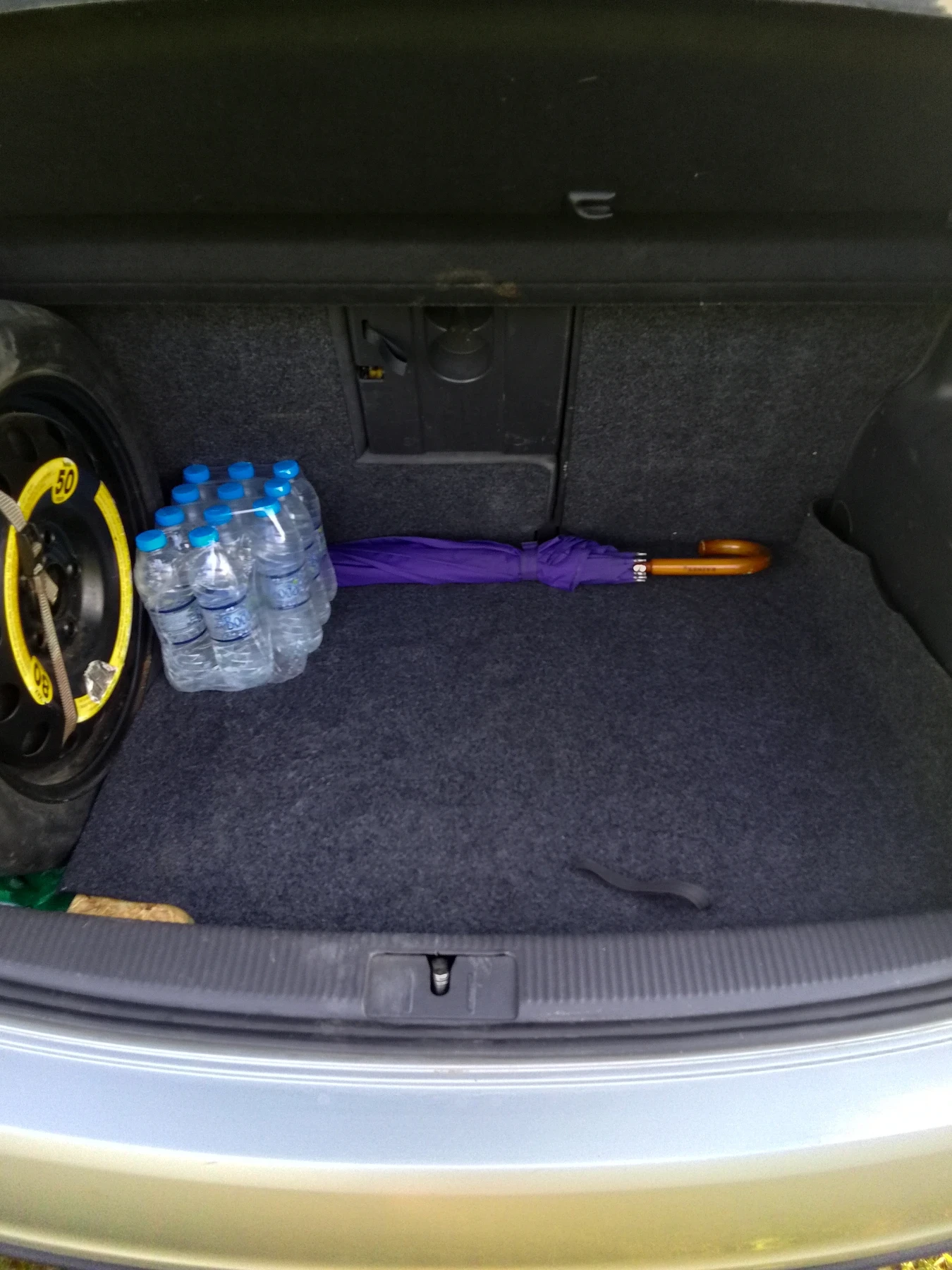 VW Golf Plus 1.6 ГАЗ - изображение 8
