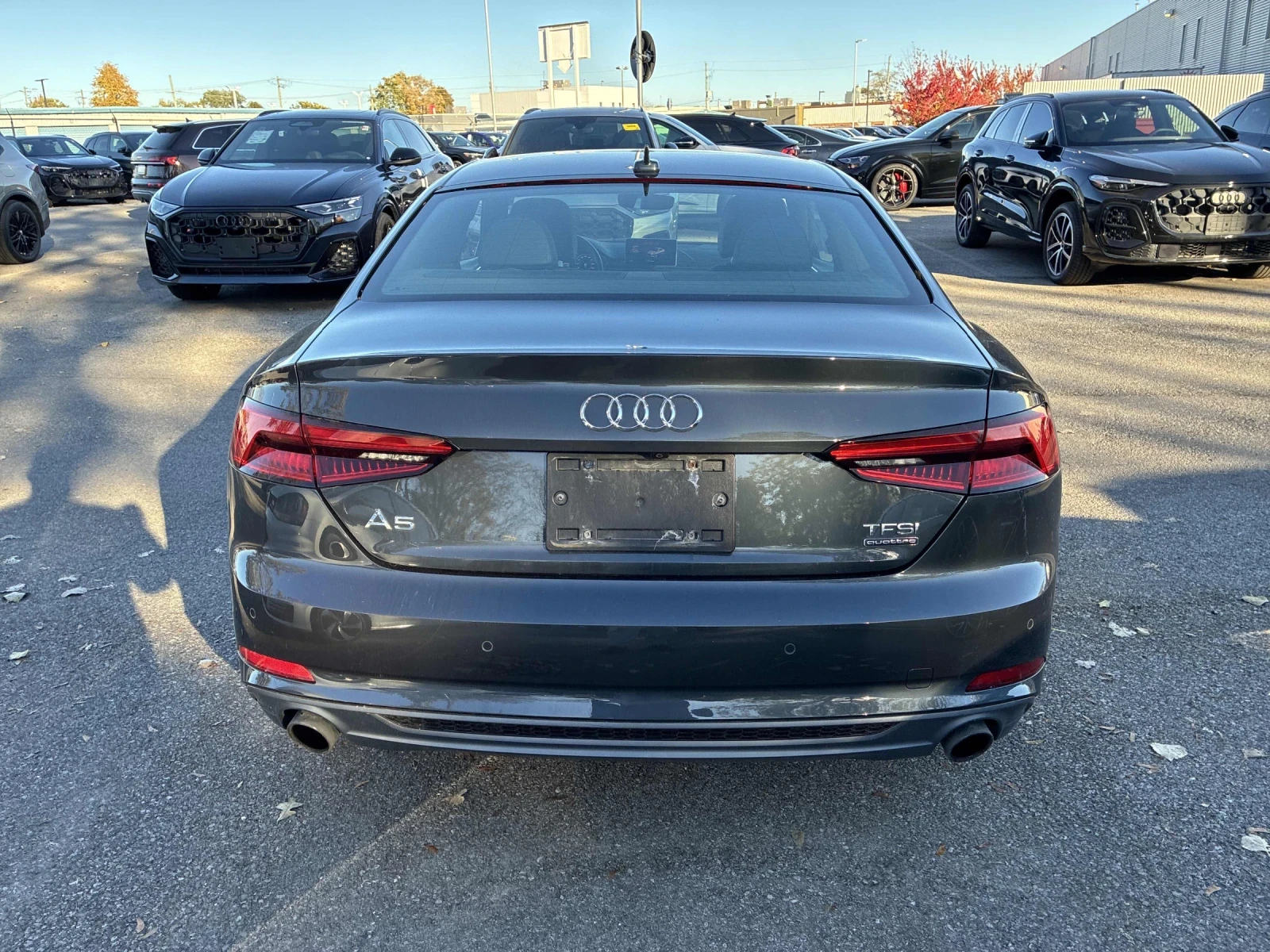 Audi A5 Technik* S-line* 360* Bang* �������* �������* 4�4* | Mobile.bg � ����������� 5
