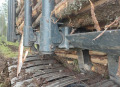 Специализирани машини Машини за дърводобив форвардер Ponsse Buffalo / ЛИЗИН - изображение 5