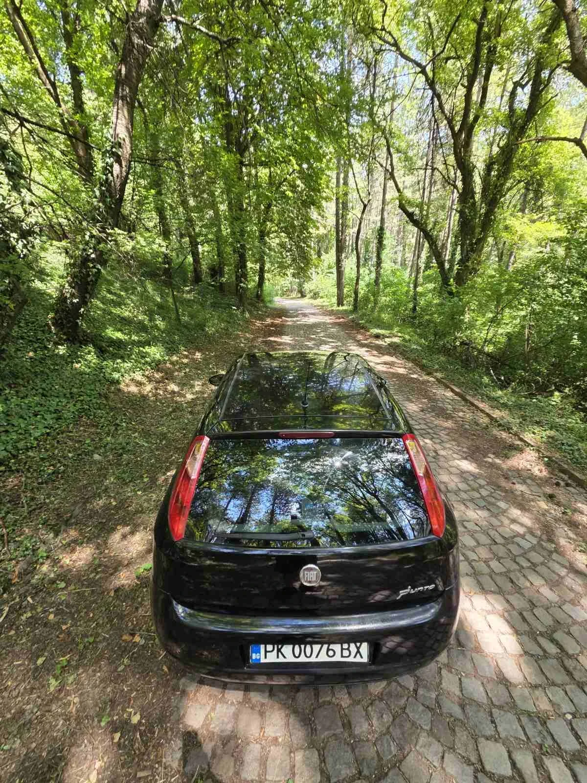 Fiat Punto, снимка 14 - Автомобили и джипове - 55276640