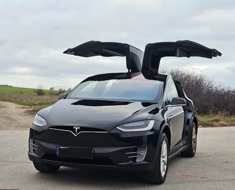 Tesla Model X X100D в Гаранция - [1] 