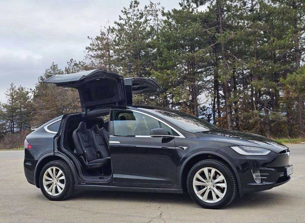 Tesla Model X X100D в Гаранция - изображение 6