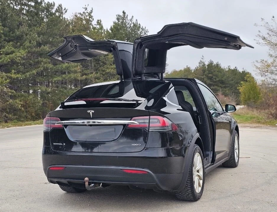 Tesla Model X X100D в Гаранция - изображение 7