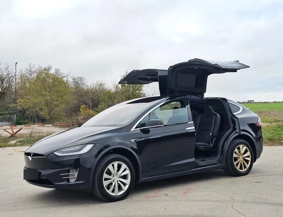 Tesla Model X X100D в Гаранция - изображение 2