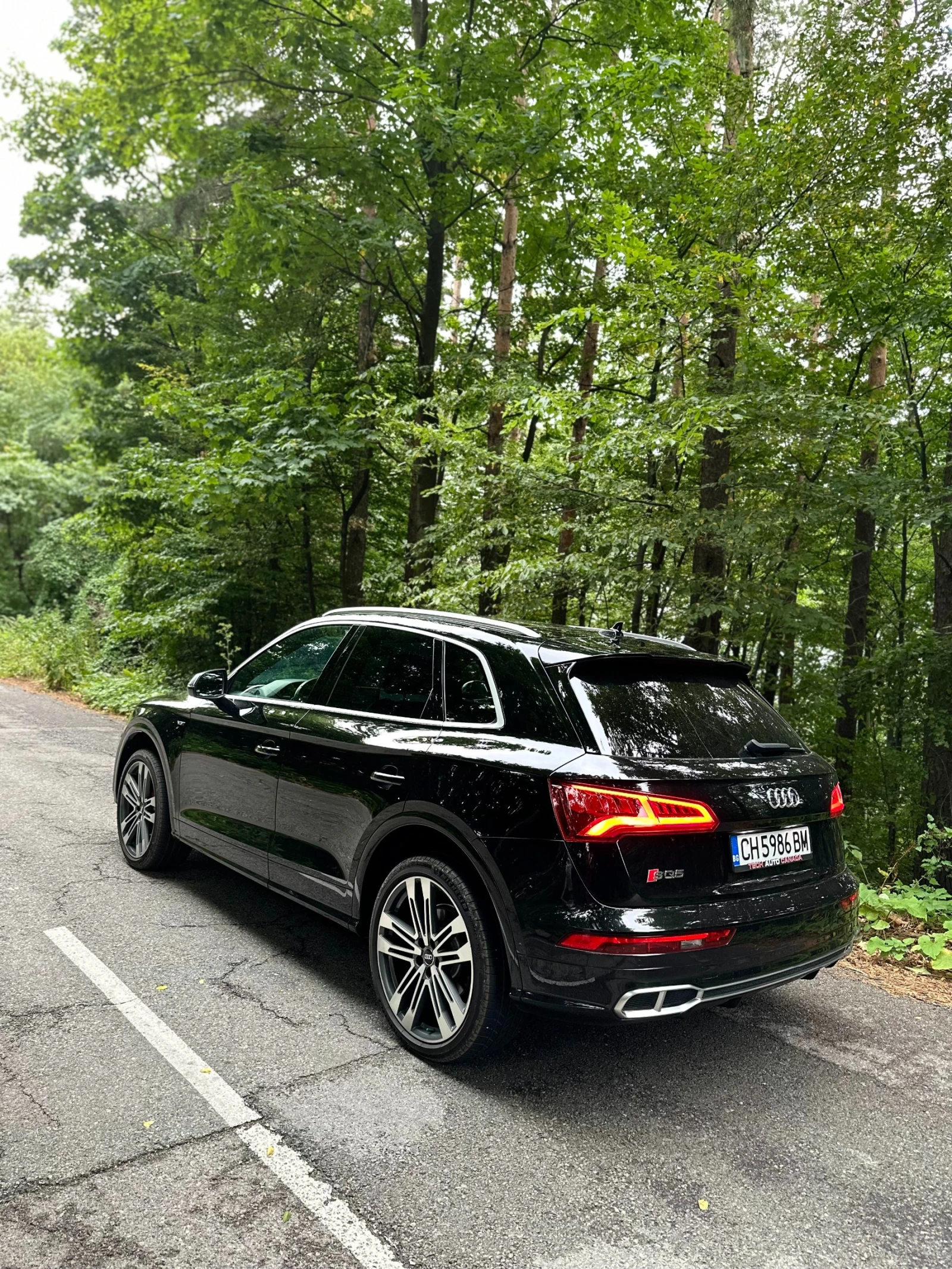 Audi SQ5 3.0TFSI - изображение 4