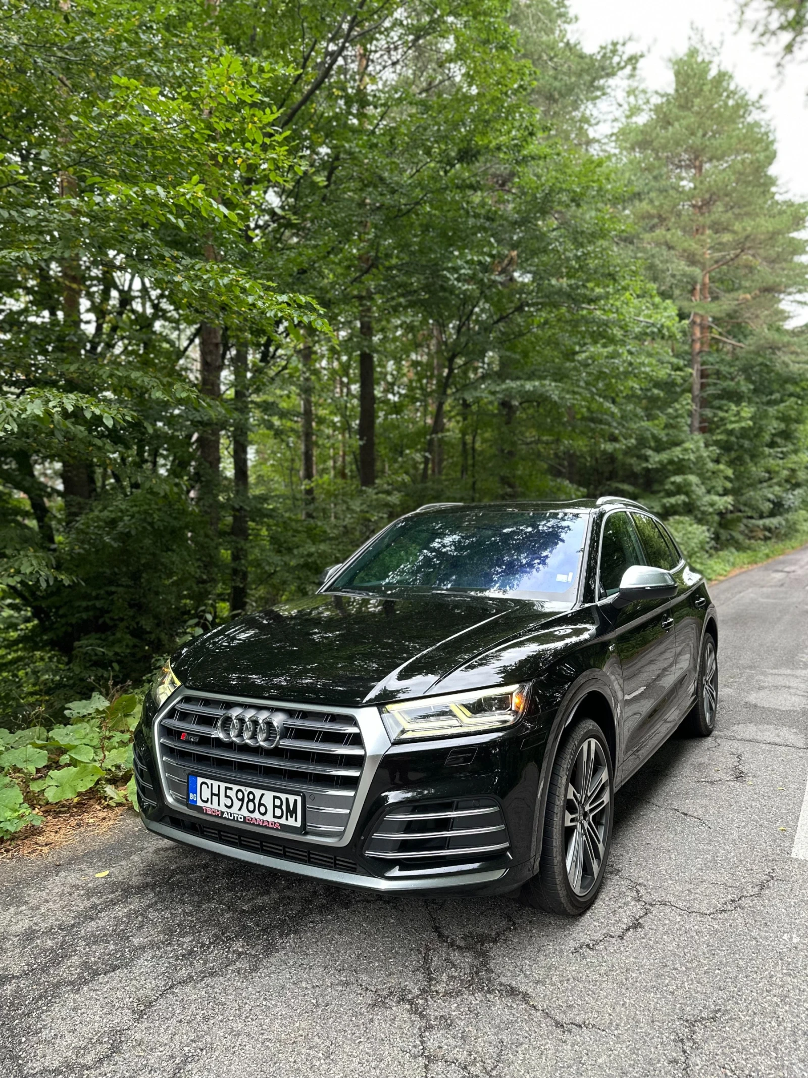 Audi SQ5 3.0TFSI - изображение 3