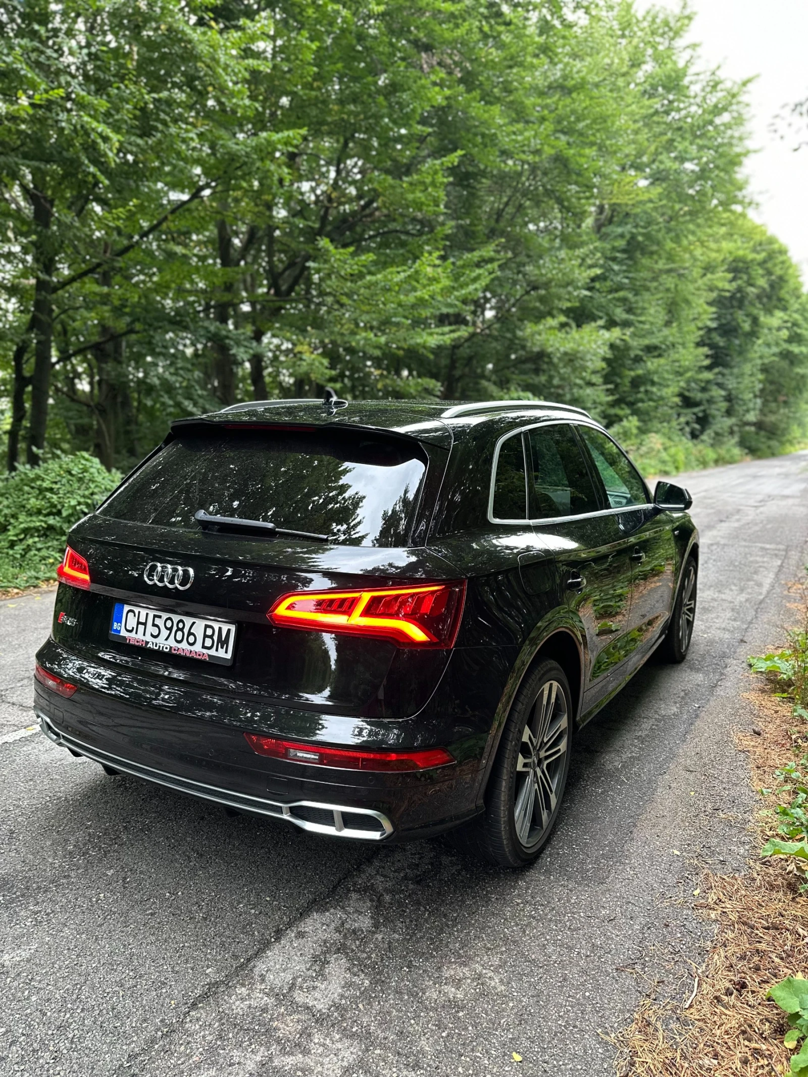 Audi SQ5 3.0TFSI - изображение 6
