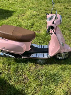     Znen Q Zn50QT