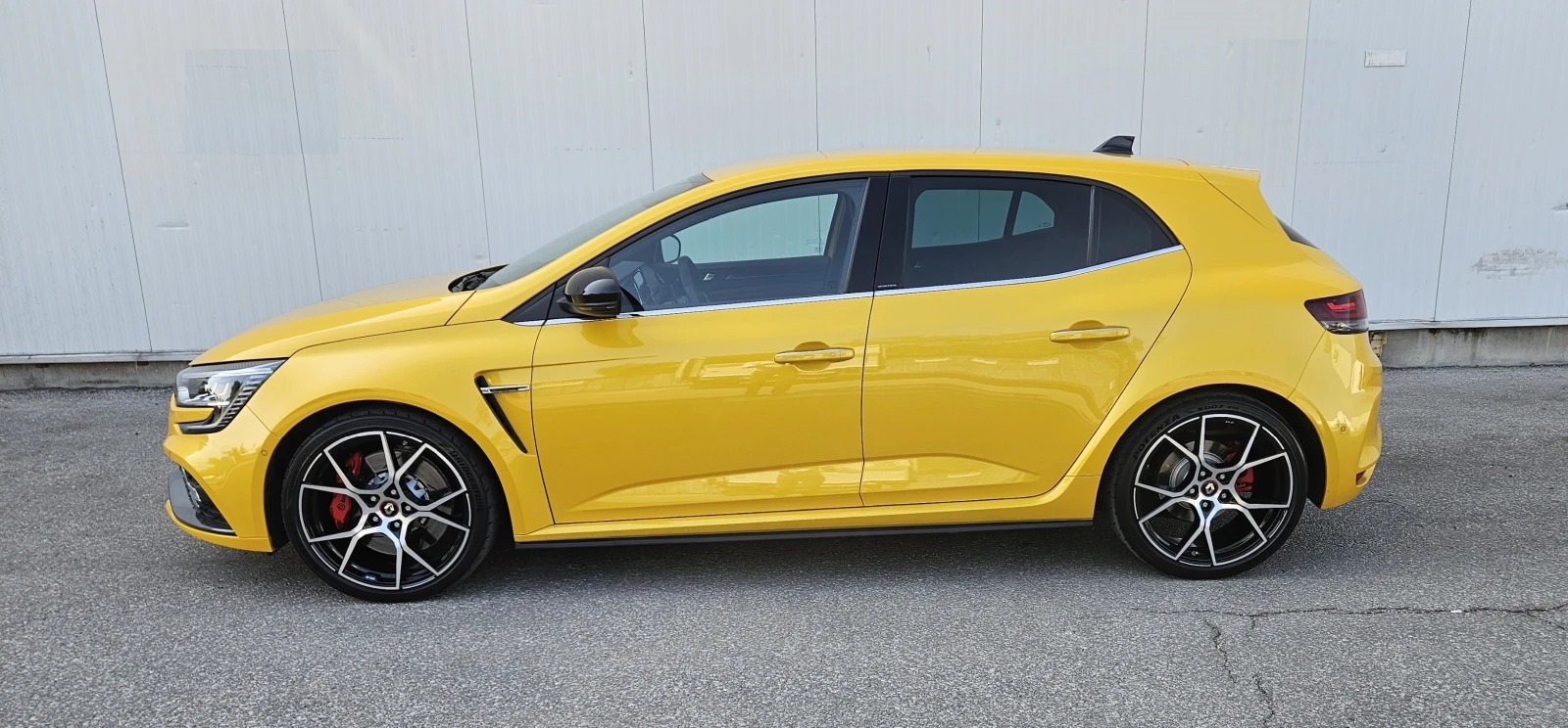 Renault Megane R.S. Trophy - изображение 6
