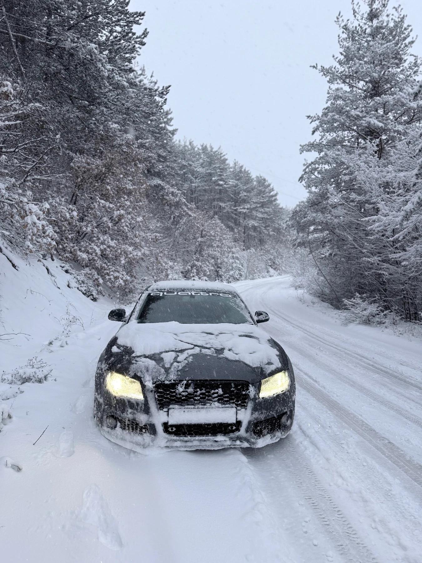 Audi A5 | Mobile.bg � ����������� 5