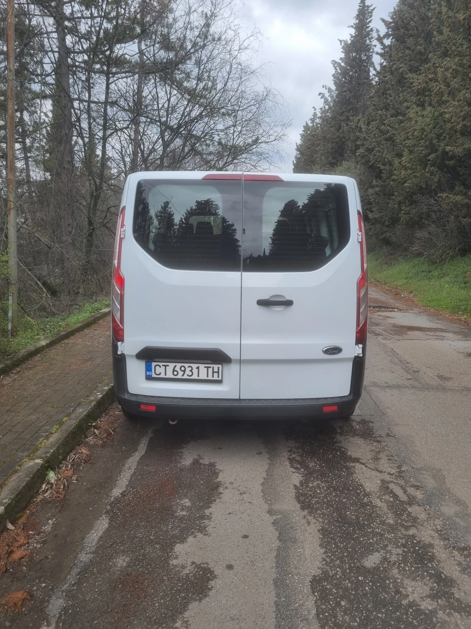 Ford Transit Custom, снимка 3 - Бусове и автобуси - 56483915