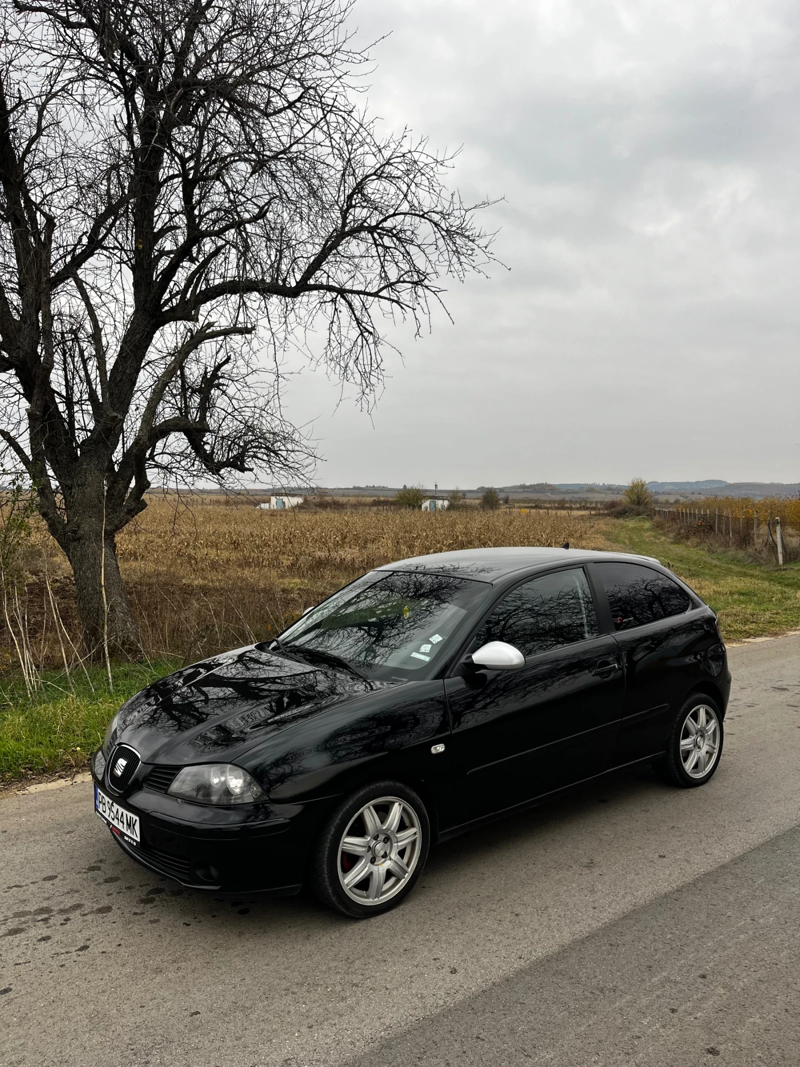 Seat Ibiza 1.9tdi - изображение 5