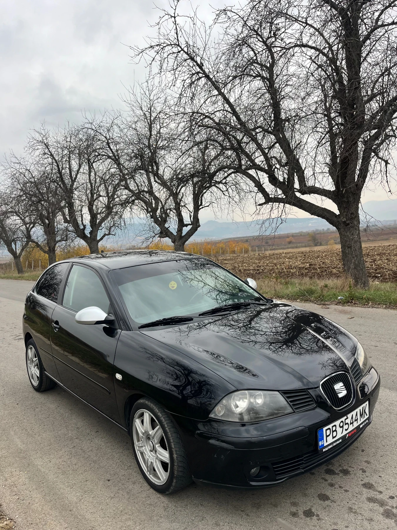 Seat Ibiza 1.9tdi - изображение 4