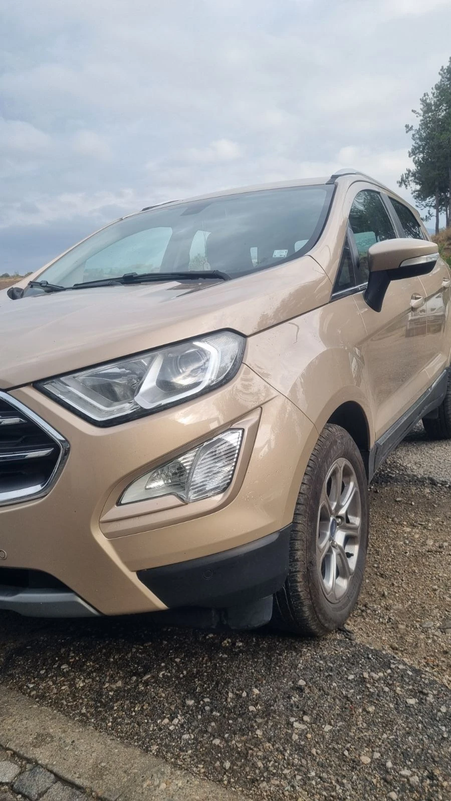 Ford EcoSport, снимка 5 - Автомобили и джипове - 56616139