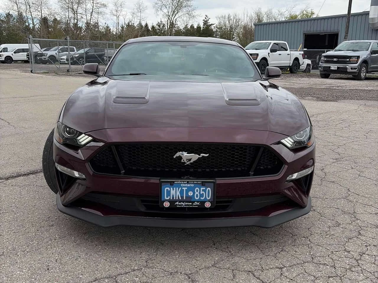 Ford Mustang * GT * CARFAX * ЦЕНА ДО БГ, снимка 2 - Автомобили и джипове - 54576562