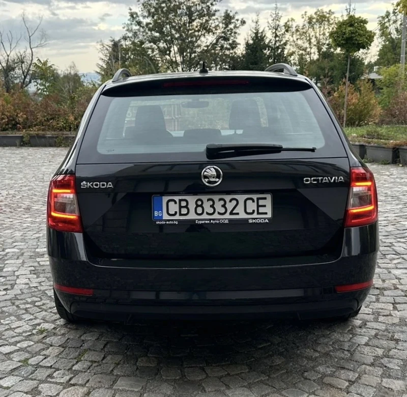 Skoda Octavia TDI, снимка 4 - Автомобили и джипове - 47708388