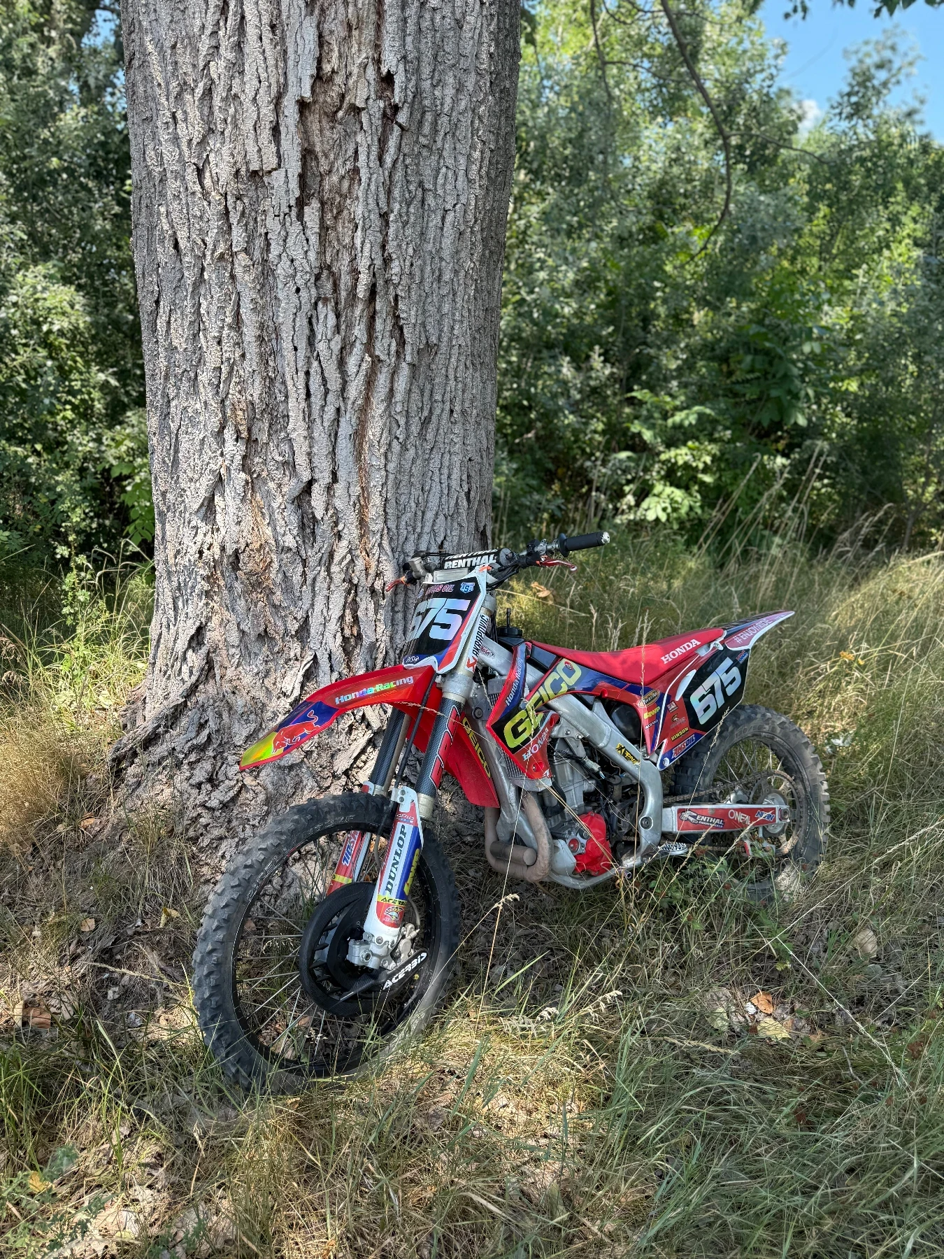 Honda Crf  - изображение 4